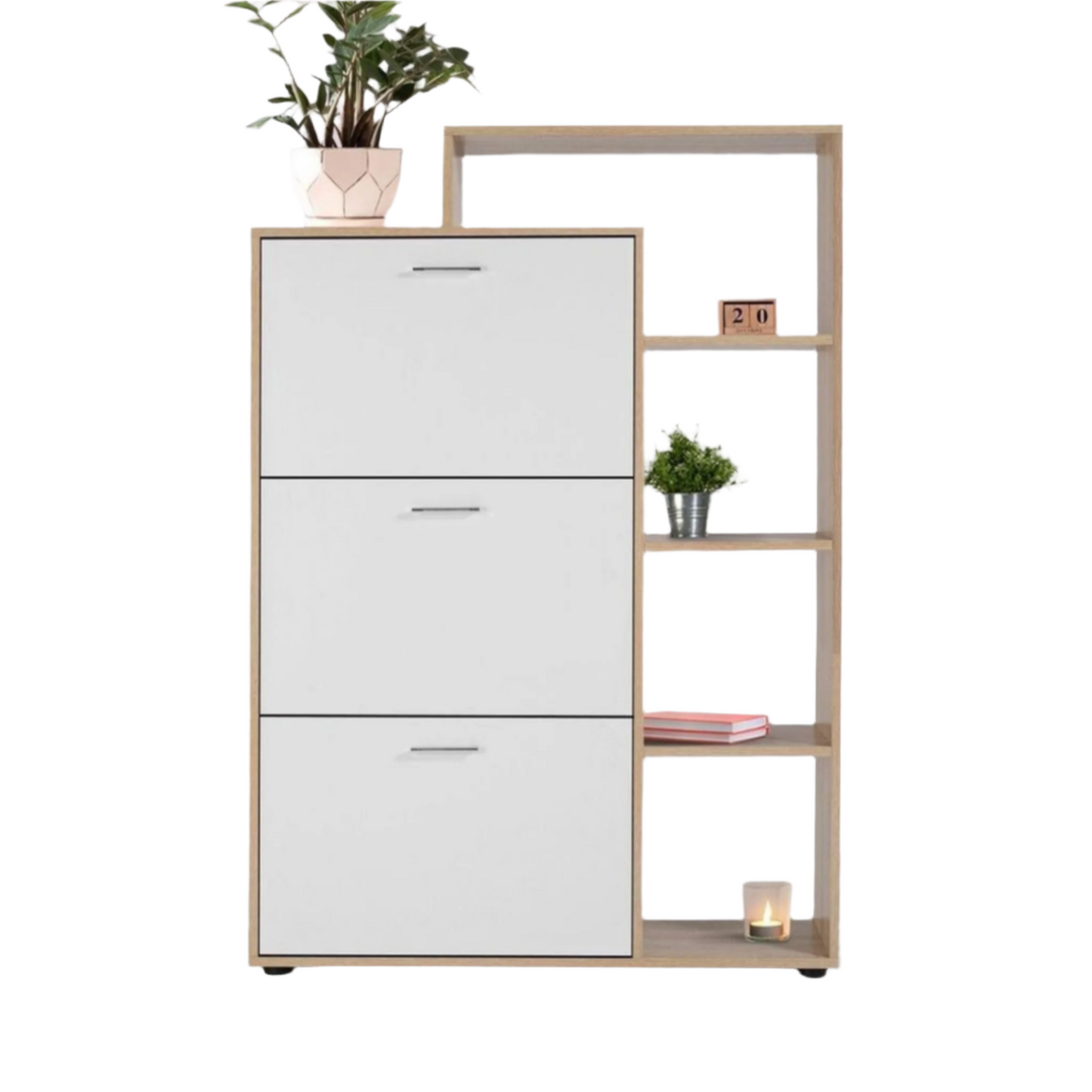 Nolo Shoe Storage